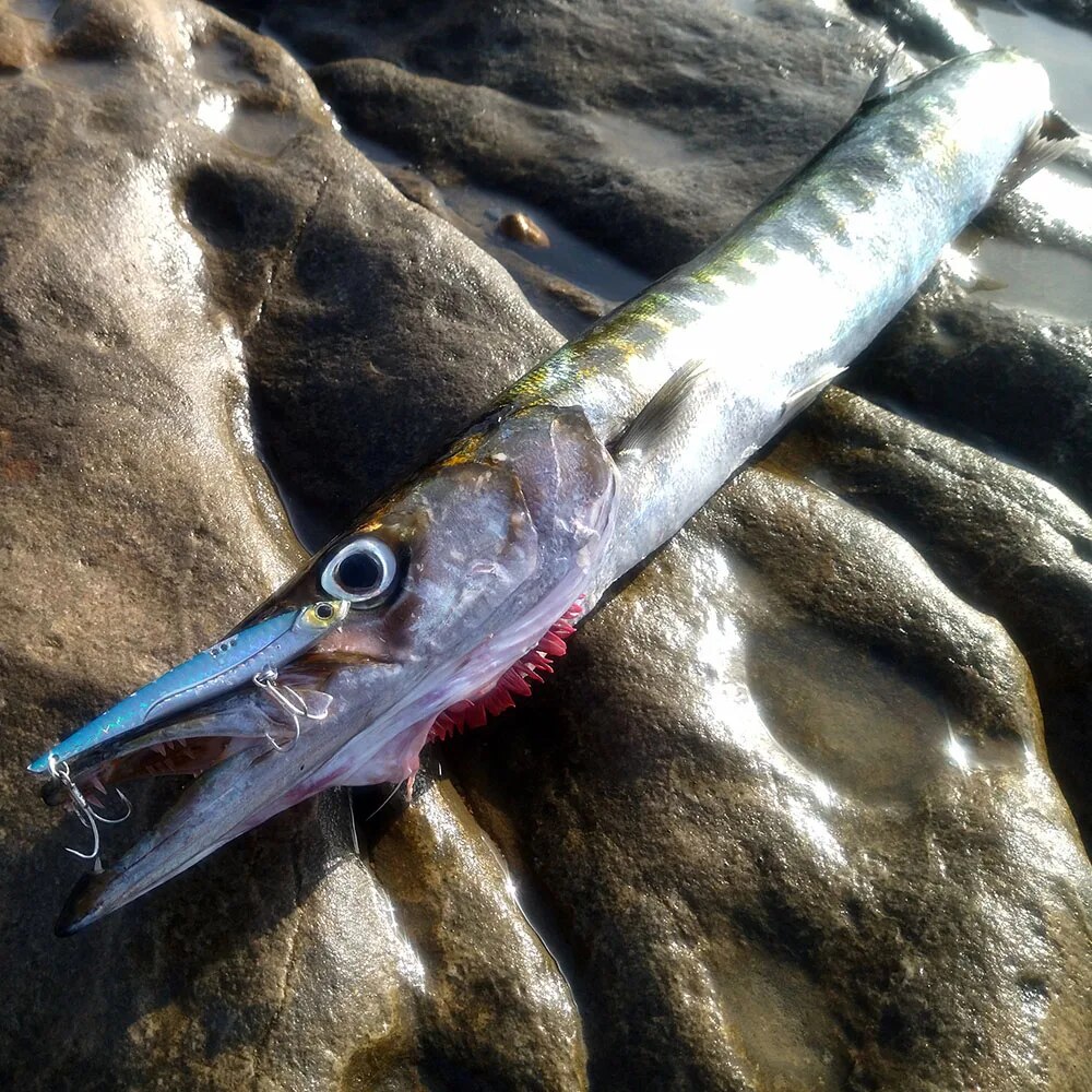 GOBAIT VIB Fishing Lure 20g 25 - огляд і ціна Fishing Lure Blade Bait