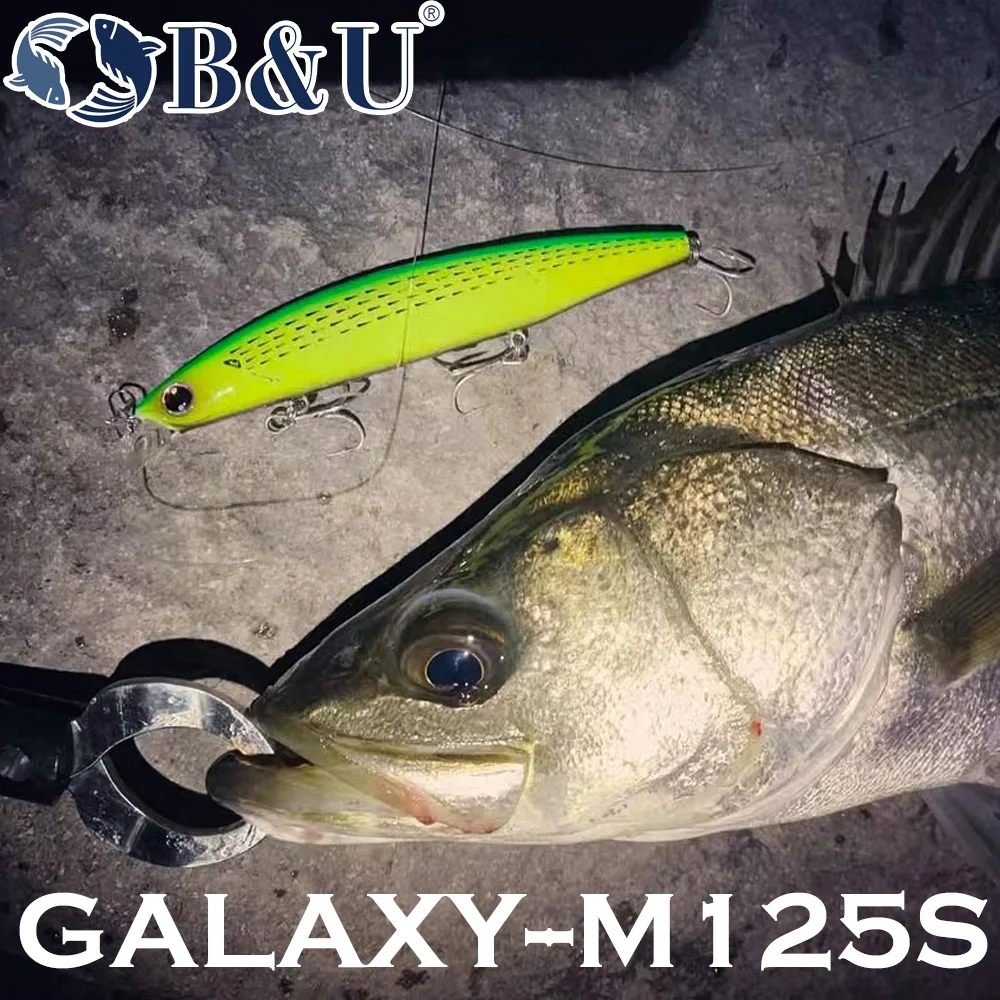 B&U 125mm Sinking Minnow Sea F - огляд і ціна Fishing Lure Jerkbait